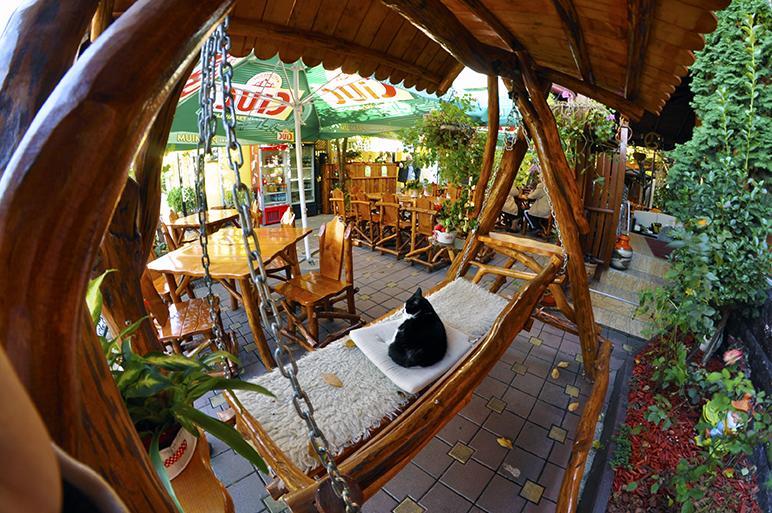 Casa Belazur Hotell Deva Exteriör bild